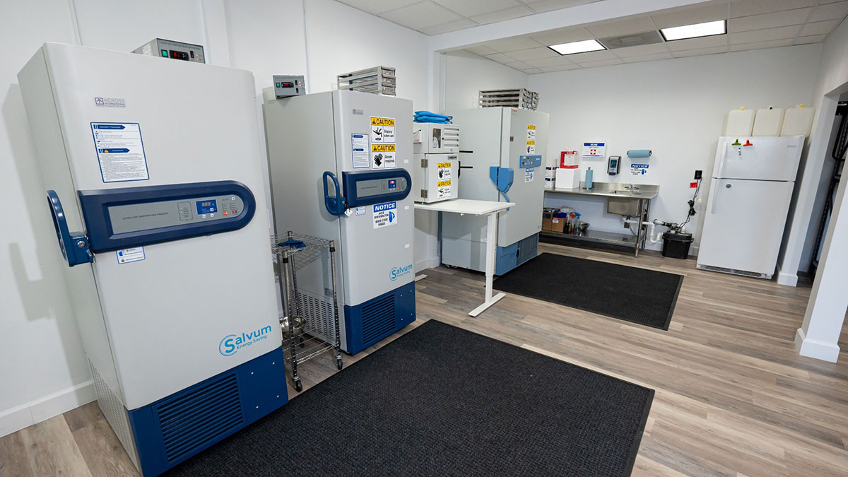 Regenicel Aesthetics Behind The Treatment - Sourcing